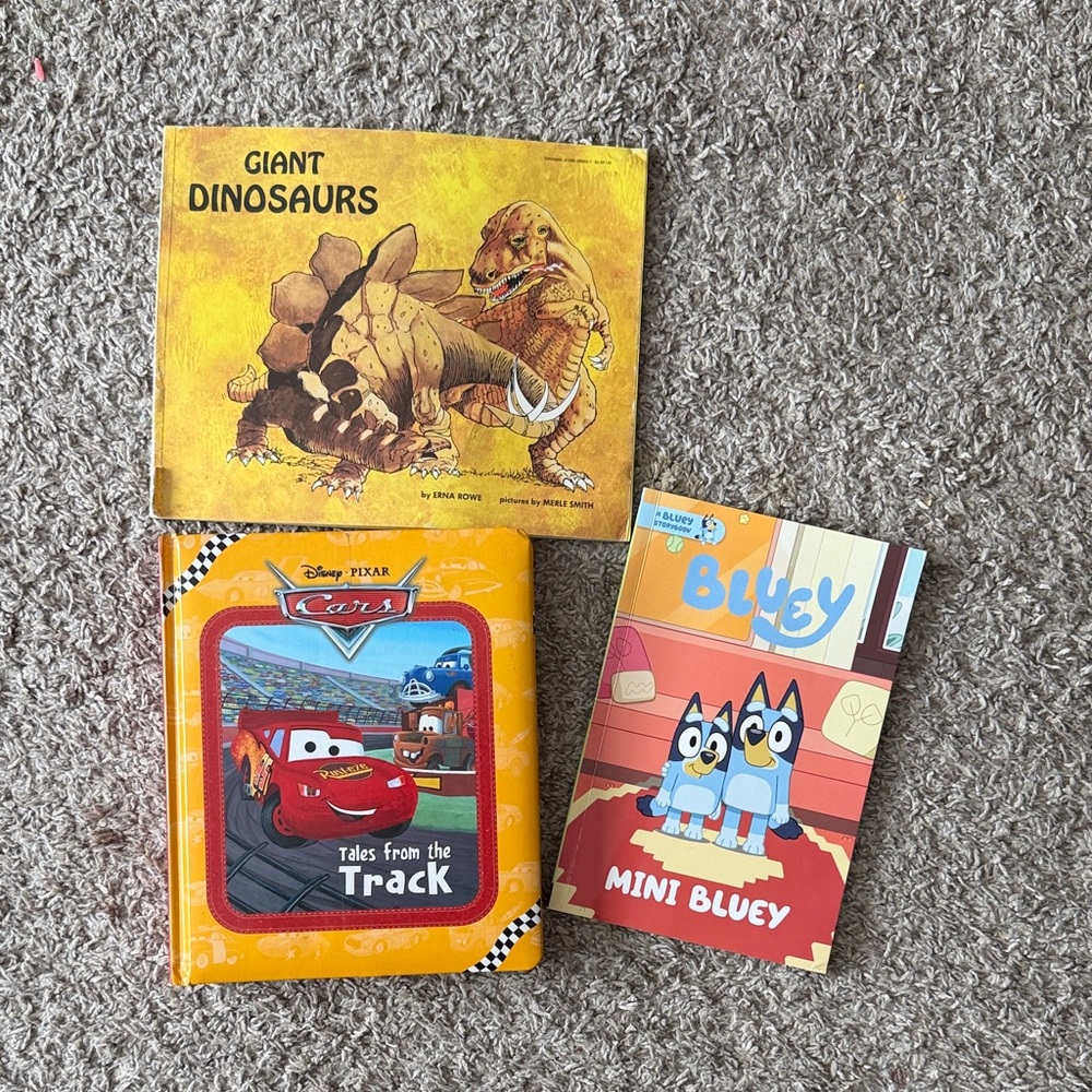 Cars and Bluey Book Set